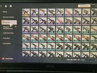 IMG_2017.jpeg