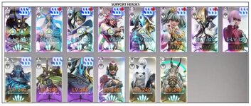 SUPPORT HEROES.jpg