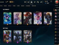skins.JPG