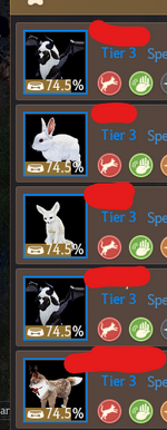 bdopets.png