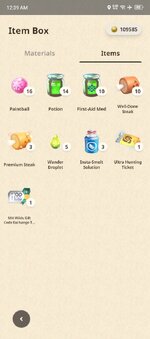 06. items.jpg