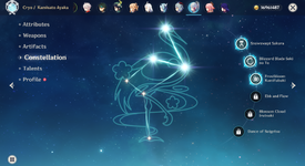 Ayaka cons.png