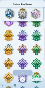 emblems and acesories (1).jpeg