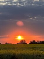 IMG_8017.jpeg