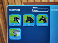 all horses part 2.png
