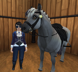 horse1.png