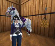 horse3.png