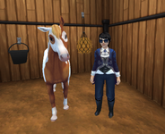 horse4.png