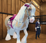 horse5.png