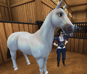 horse6.png