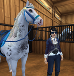 horse8.png