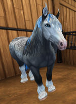 horse10.png