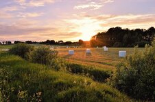sunset-2423166_1280.jpg
