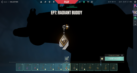 x12 Radiant Buddy.png