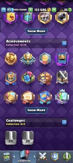 Screenshot_20250503_141256_com_supercell_clashroyale_GameApp.jpg