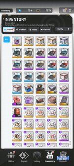 Screenshot_2025-05-06-19-10-05-668_com.proximabeta.nikke.jpg