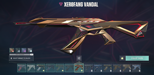 11.png