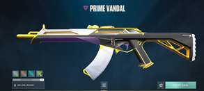 14.png