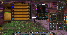 WoWScrnShot_050725_121136.png