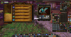 WoWScrnShot_050725_121207.png