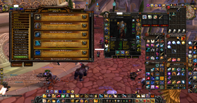 WoWScrnShot_050725_122036.png