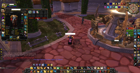 WoWScrnShot_050725_122442.png