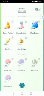 Master Ball x 2.jpeg