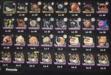 IMG_2579.jpeg