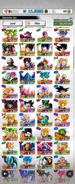 Screenshot_20250514_134654_DB LEGENDS.jpg