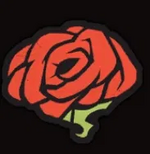 1747452034365.png