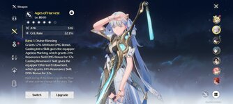 Screenshot_2025-05-17-17-06-15-803_com.kurogame.wutheringwaves.global.jpg