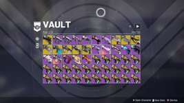 Vault P1.jpg