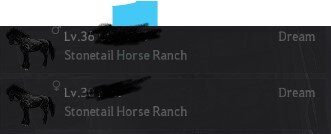 horse 2.jpg