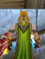 Hair 1.png