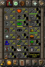 RS1.png