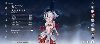 Screenshot_20250609_114412_Wuthering Waves.jpg