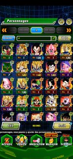 Screenshot_20250602_120805_Dokkan.jpg