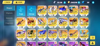 Screenshot_20250407_104838_Honkai Impact 3rd.jpg
