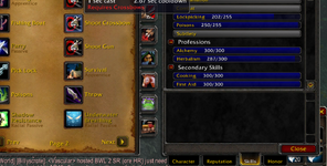 rogue2.png