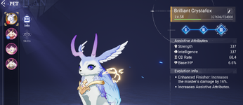 coa2.png