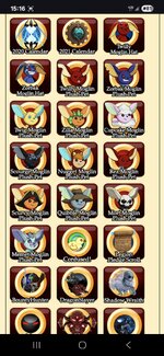 Screenshot_20250619_151605_Chrome.jpg