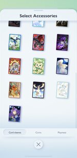 IMG_2091.jpeg