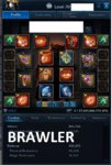 BRAWLER 3.jpg