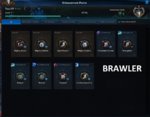 BRAWLER 6.jpg