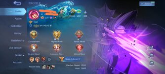 Screenshot_2025-06-25-18-30-51-632_com.mobile.legends-edit.jpg