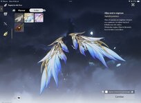 IMG_0233.jpeg