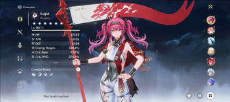 Screenshot 2025-07-13 125214.png
