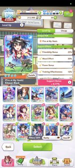 Screenshot_2025-07-19-15-41-41-581_com.cygames.umamusume.jpg