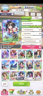 Screenshot_2025-07-21-01-03-20-651_com.cygames.umamusume.jpg