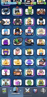 IMG_0302.jpeg